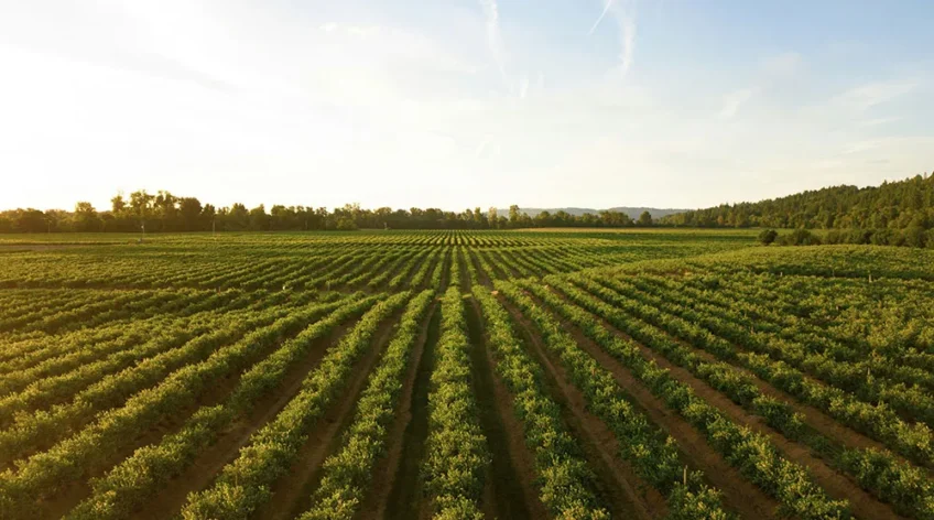 There are many variations of passages of Lorem Ipsum available, but majority have suffered teration in some form, by injected humour, or randomised words which don't look even slight believable. If you are going to use a passage of Lorem Ipsum.