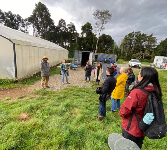 Articula ciencia, tecnología e innovación.